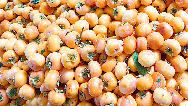 喝完酒不能吃柿子，可柿子酒不僅能喝，口感還倍兒棒！