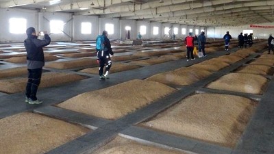 用釀酒白酒設(shè)備做酒的老酒坊想升級為大酒廠，只需做好這4點！