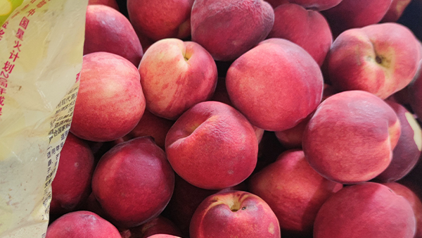 山東冬桃滯銷，能否用釀酒新設(shè)備釀成酒避免損失？