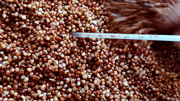 用烤酒設(shè)備做酒，溫度對白酒口感和出酒率影響大嗎？