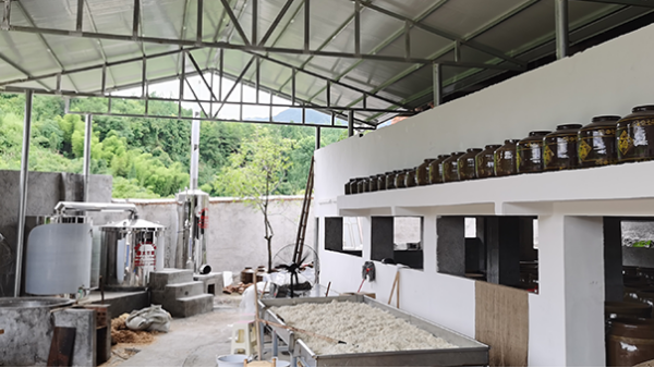 受疫情影響工作不好找，在家開個酒廠利潤大嗎？