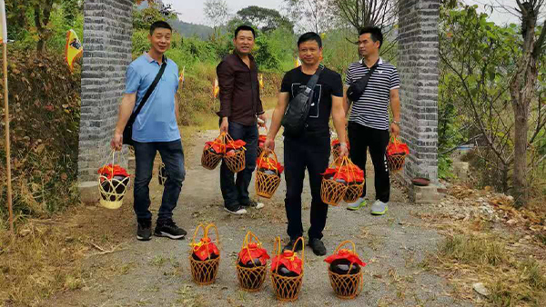 引進小型酒廠釀酒設備升級老酒坊，武功山黑糯米酒坊變身“釀酒農莊”