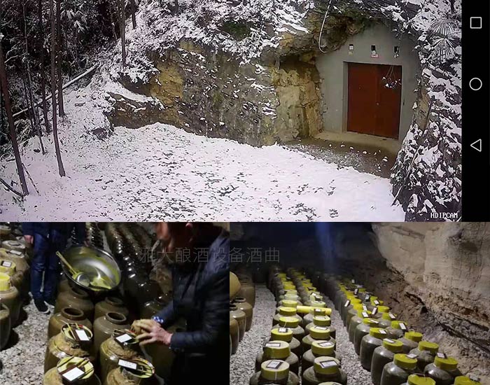 10.3做洞藏酒，“洞”的選擇很重要