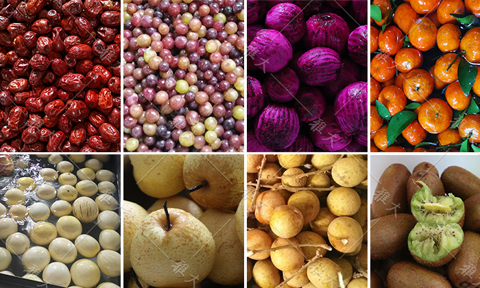 各種釀造果酒的原料