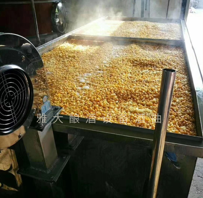 3.31用攤晾蒸煮釀酒設(shè)備蒸玉米，熟得又快又均勻