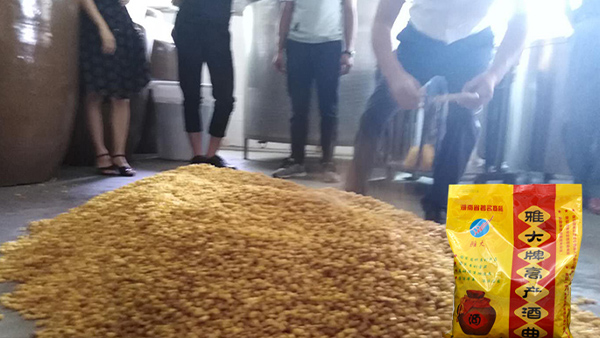 雅大釀酒設備：熟料釀酒攤涼時間過長或過短，將會導致發(fā)酵失敗