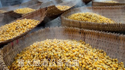 看過來，用玉米釀酒設(shè)備制作整料玉米酒的標準教程在這里！