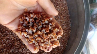 用高粱釀酒設(shè)備做高粱酒時不加糠殼，可以釀出酒來嗎？