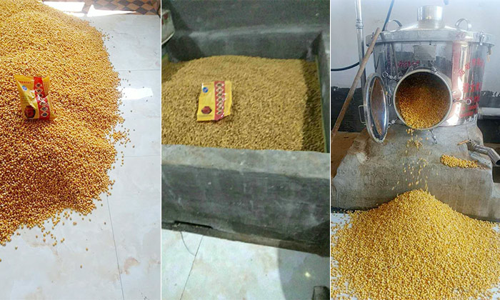 10.31用不銹鋼釀酒設備釀玉米酒，以糧換酒，養(yǎng)豬不花錢