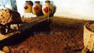 用高粱釀酒設備做濃香型白酒，酒好全憑窖池老！