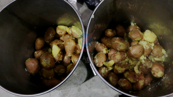 3000噸土豆無人問津，那就試試用釀白酒設(shè)備將它們釀成酒吧！