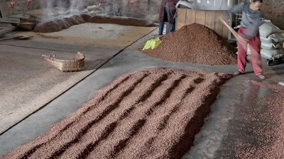 咱家不差錢，你又一把年紀了，何必堅持用中型釀酒設備做酒？