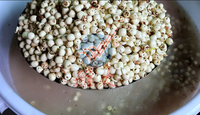 1、蓮子浸泡不帶皮