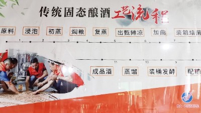 新型釀酒設備釀酒，當傳統(tǒng)遇上新工藝？你的選擇是什么？