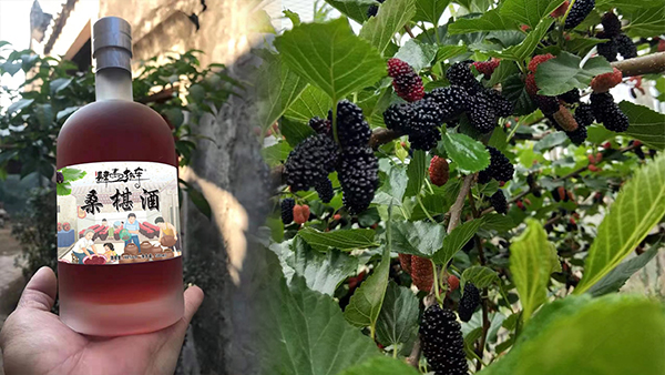 雅大果酒釀酒設(shè)備和釀酒技術(shù)，幫助果農(nóng)走出“滯銷”困局