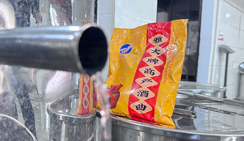 雅大酒曲發(fā)酵快菌群活力旺盛