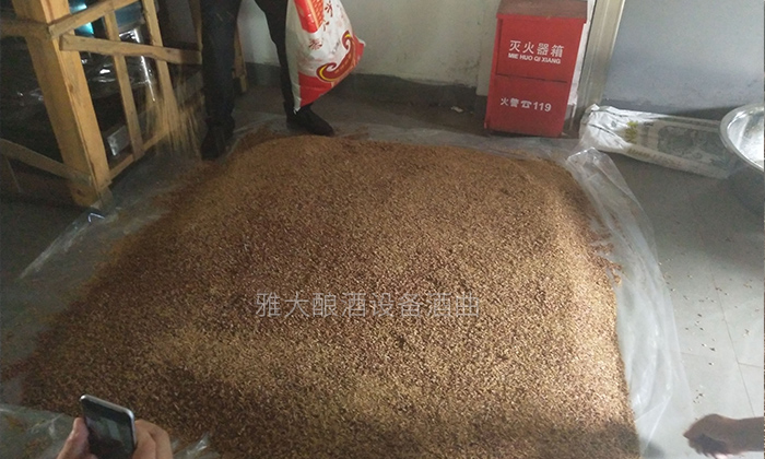 10.4-高粱釀酒實(shí)操攤涼、下曲、做箱