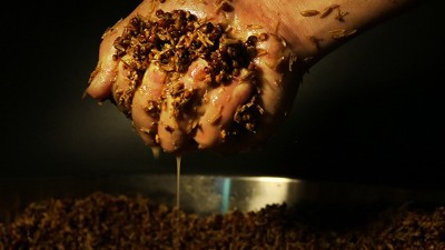 明明發(fā)酵得很好，為什么用小型釀酒設(shè)備蒸酒時就是不出酒？