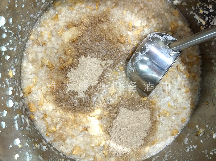 8.4梨子釀酒技術-下酒曲