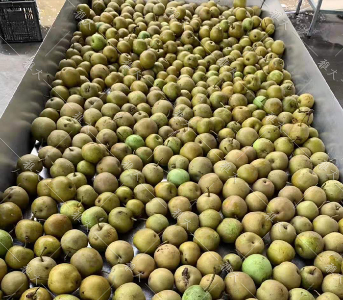 8.4梨子釀酒技術-晾干水分