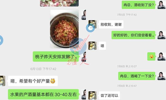 10.28雅大幫忙研發(fā)的黃桃酒，冉總品嘗后很滿意