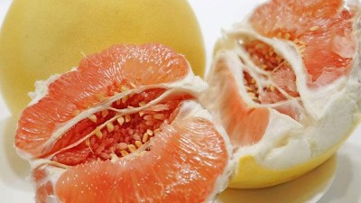 柚子酒怎么做？釀造柚子酒的全套釀酒設備價格貴不貴？