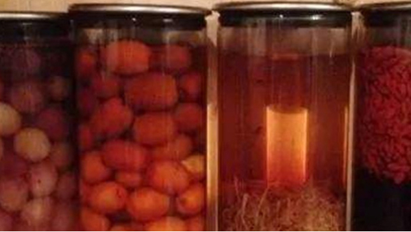 蒸餾釀酒設(shè)備：常見的6種野果，泡成酒連老酒鬼們都念念不忘！