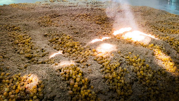 生態(tài)釀酒時(shí)代到來，談?wù)劙拙漆勗斓淖匀簧鷳B(tài)與微生態(tài)