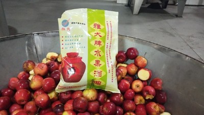 龍豐果酒怎么釀？雅大小型酒廠釀酒設(shè)備現(xiàn)場教您釀！