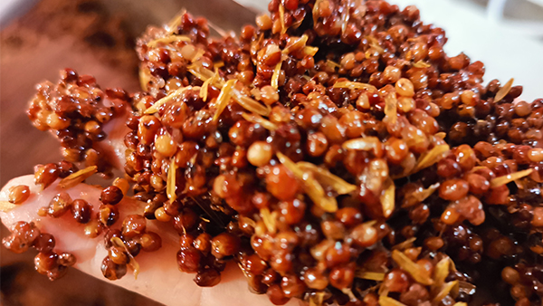 用釀酒蒸餾設備做固態(tài)高粱時，糖化不起來怎么辦？